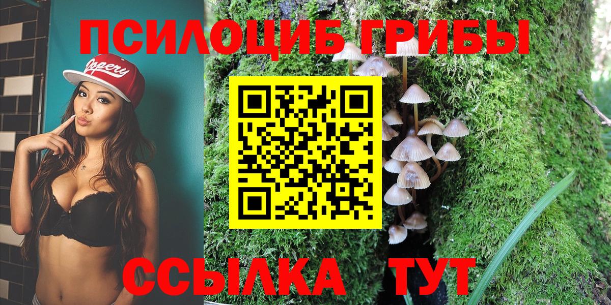 Павловский Посад  Псилоцибиновые грибы ЛСД  Вход с VPN 