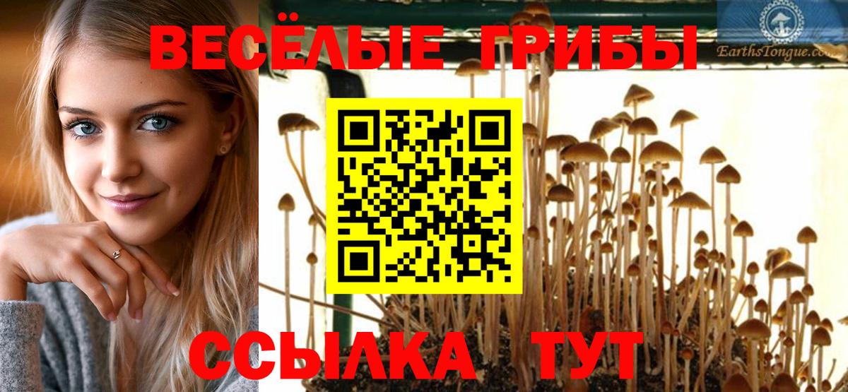 Галлюциногенные грибы Psilocybine cubensis Павловский Посад